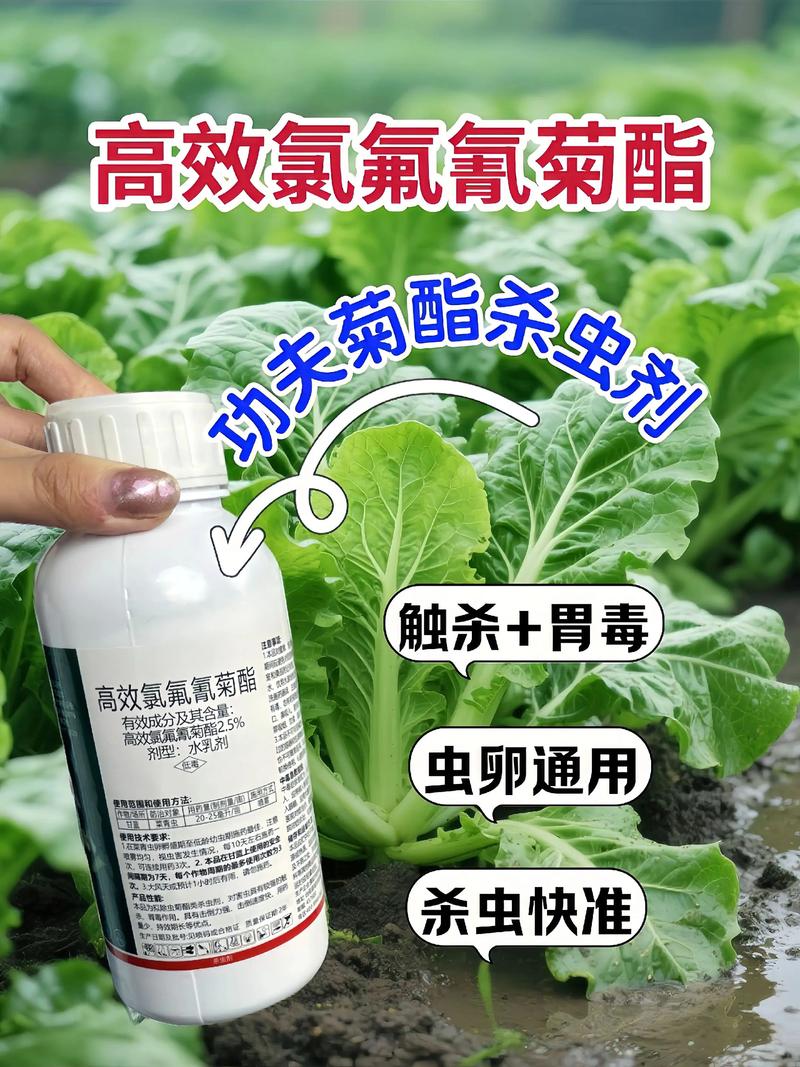 临高代生中心:农药对供卵代生妈妈的危害